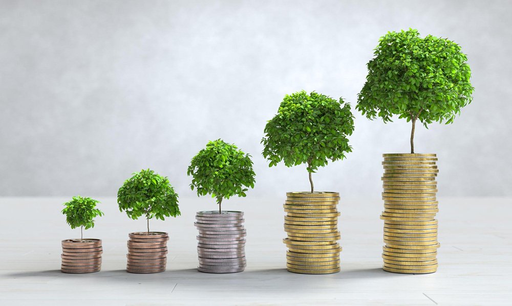 Investment purpose 